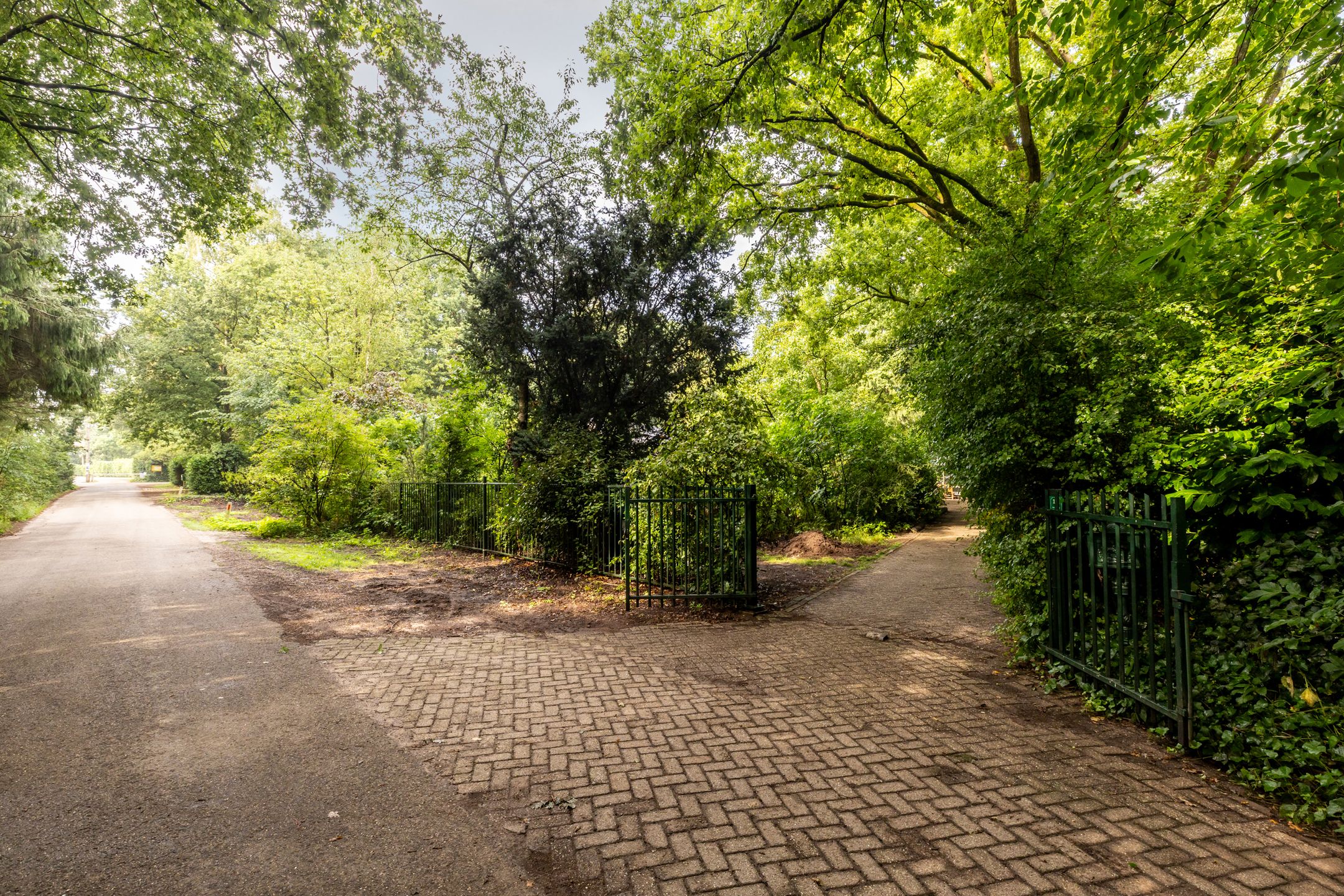 Foto 6 van Fazantbos 10