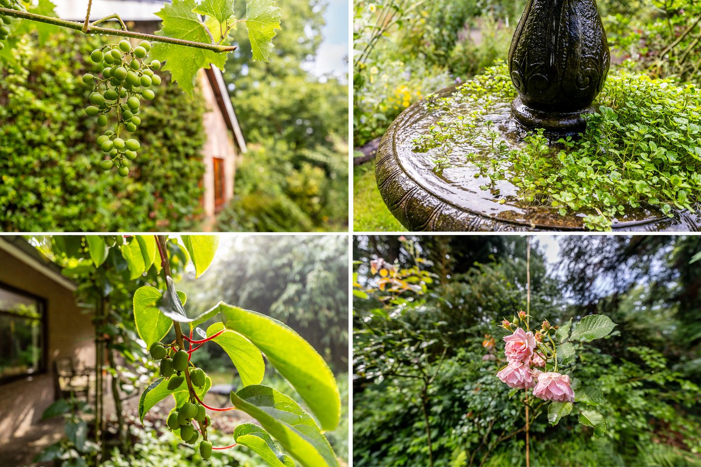 Foto 29 van Fazantbos 10