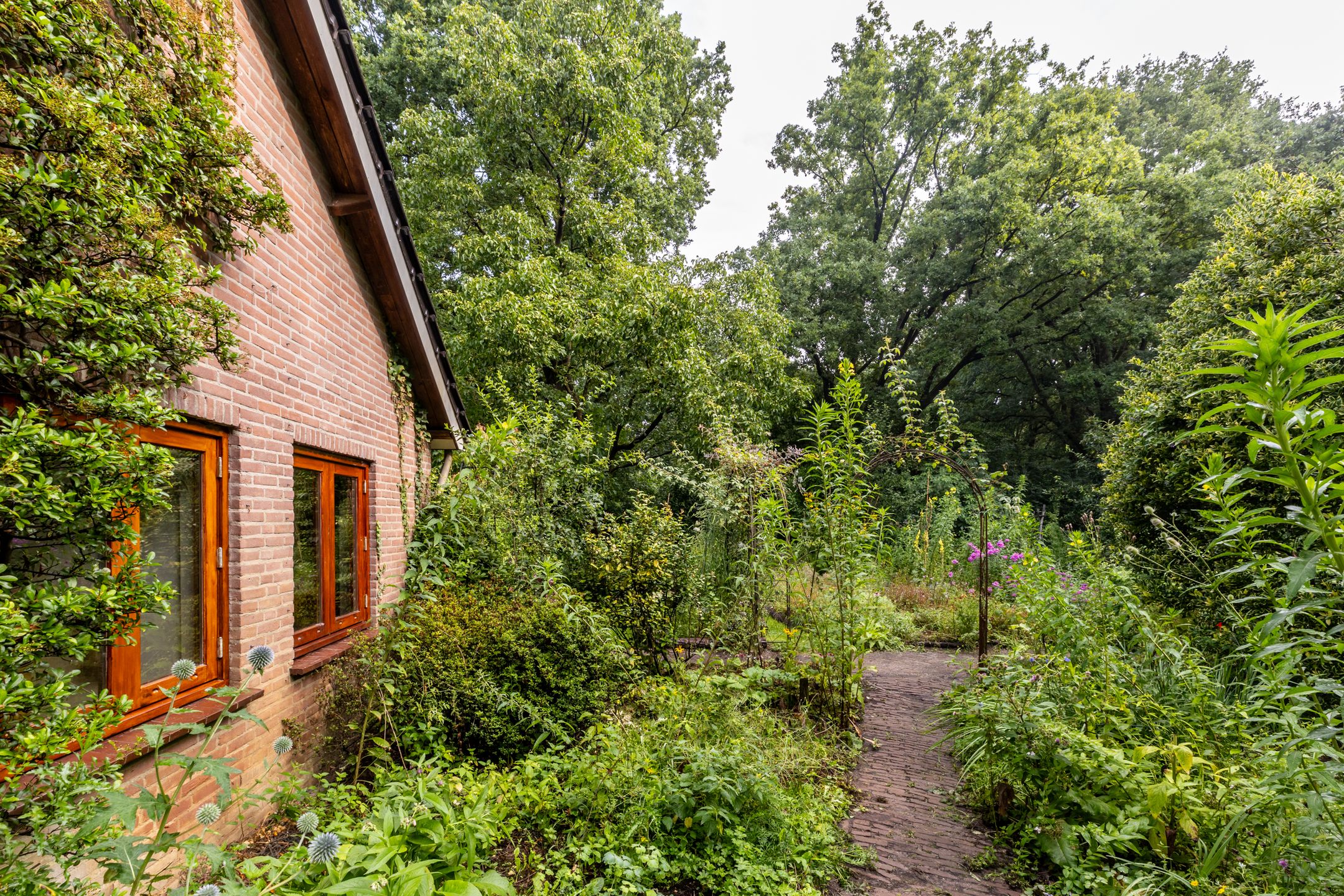 Foto 30 van Fazantbos 10