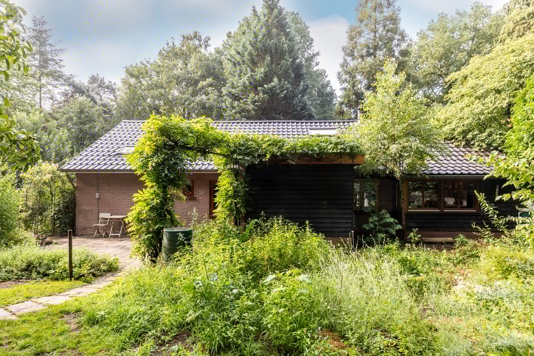 Foto 32 van Fazantbos 10