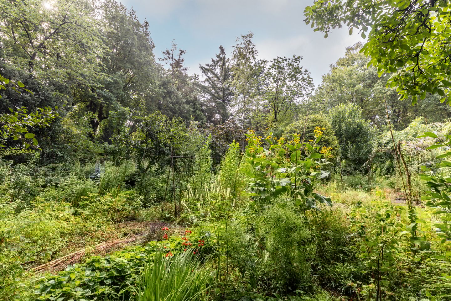 Foto 34 van Fazantbos 10