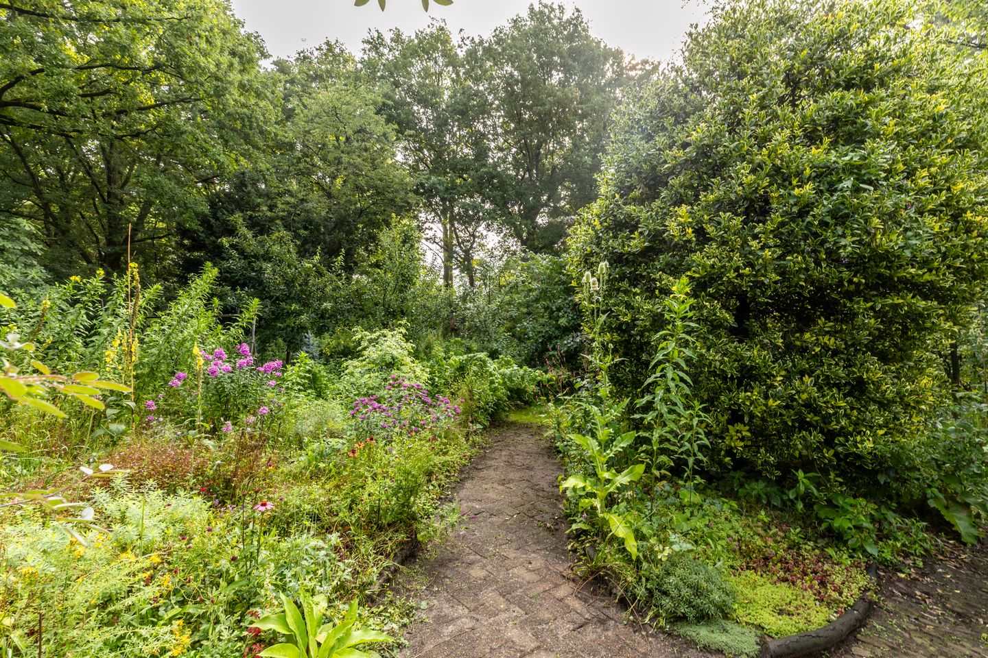 Foto 35 van Fazantbos 10