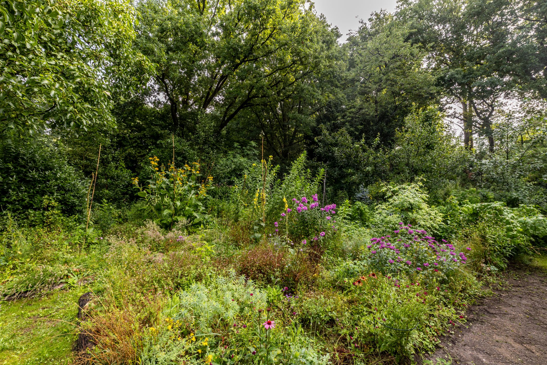 Foto 36 van Fazantbos 10