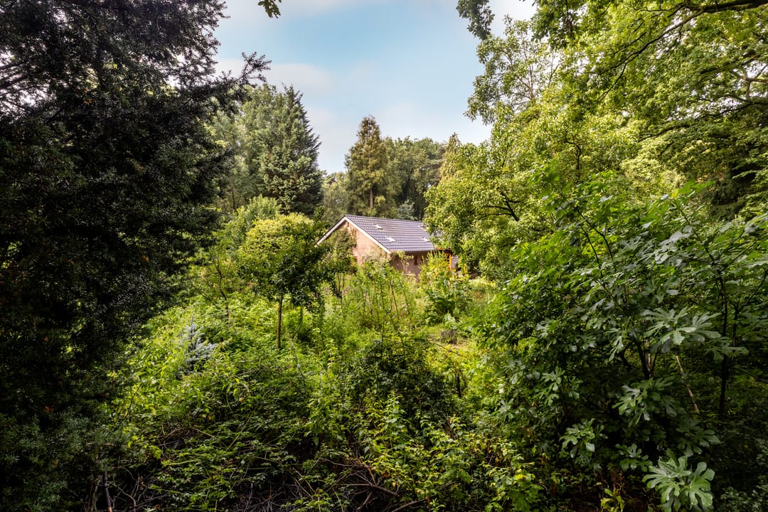 Foto 37 van Fazantbos 10