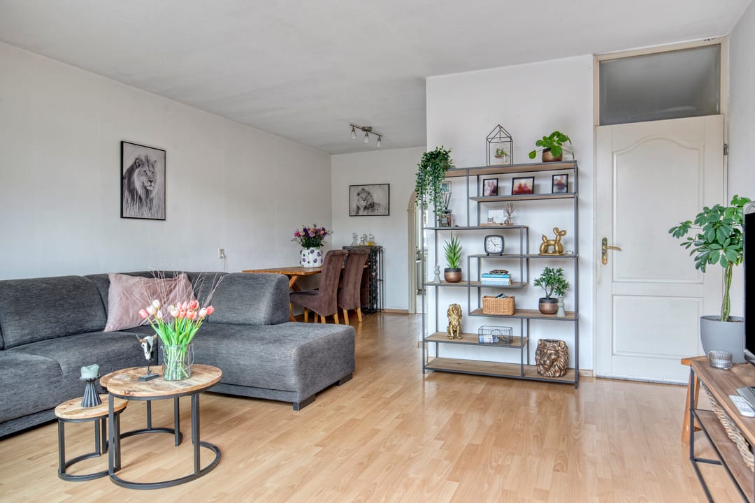 Photo 8 of Zevenoord 106