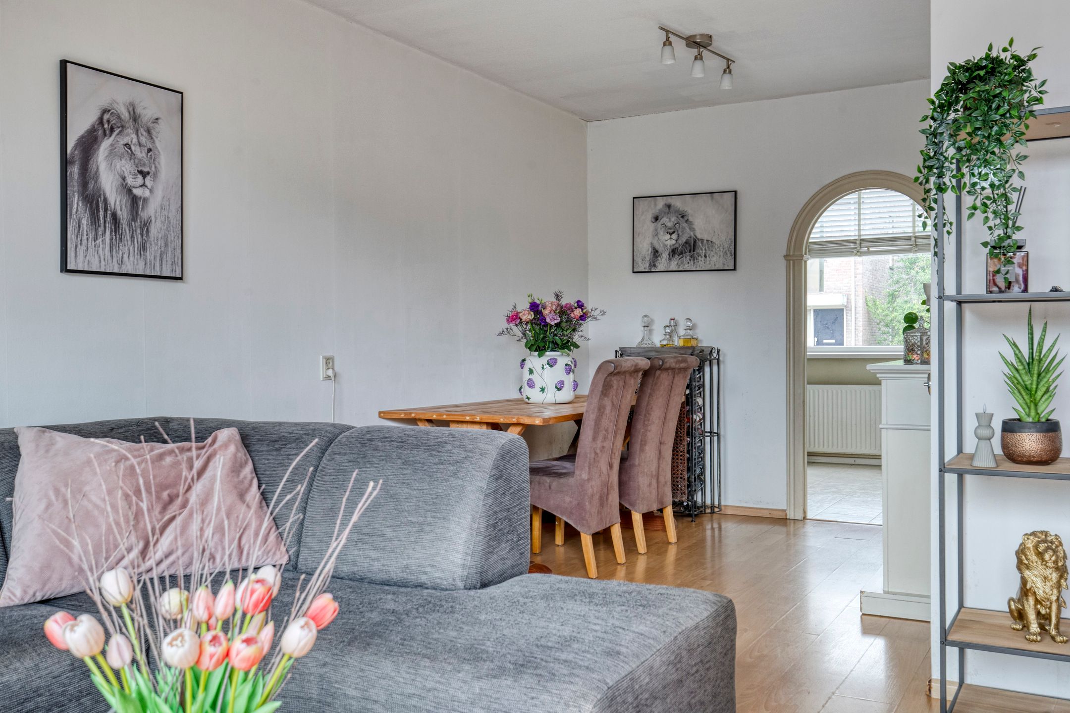 Photo 9 of Zevenoord 106