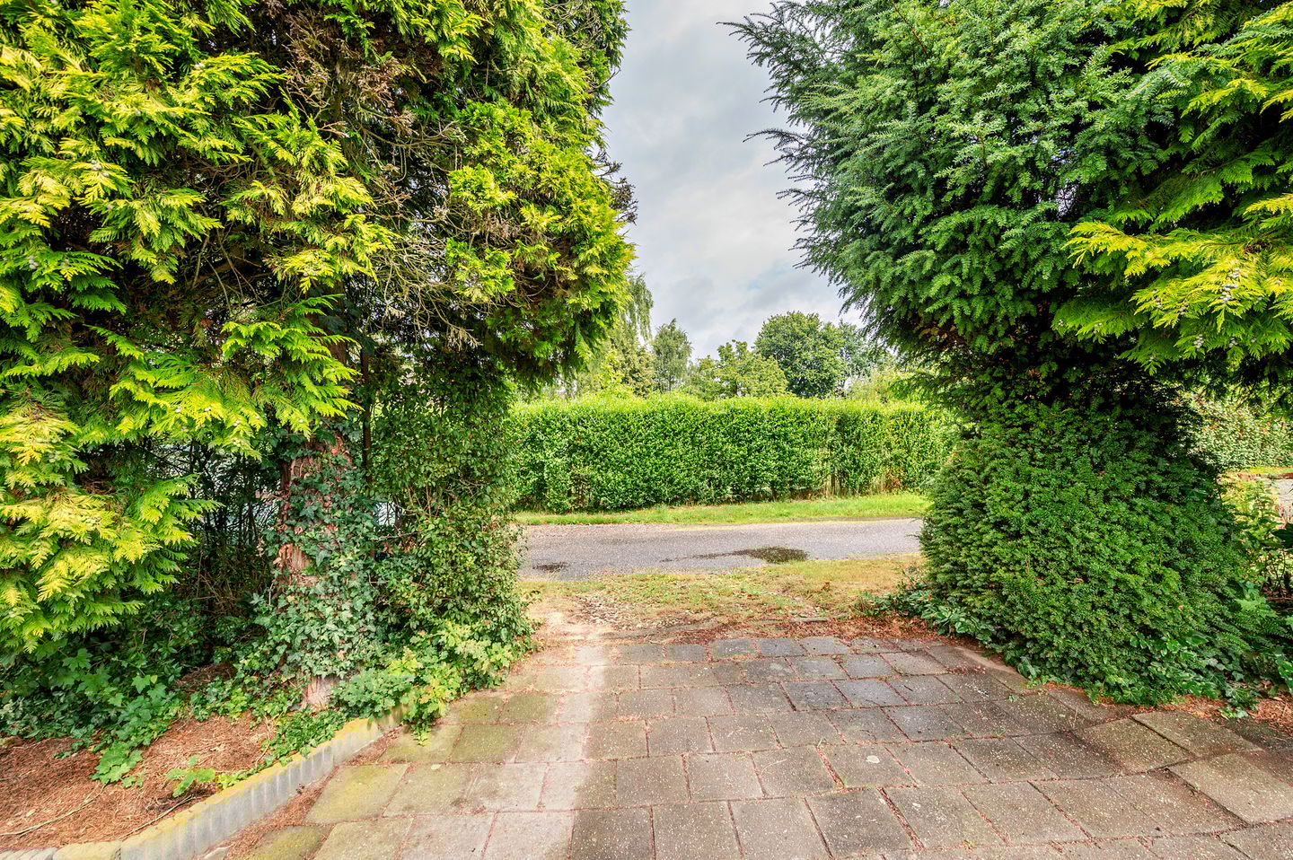 Foto 34 van Maasstraat 27