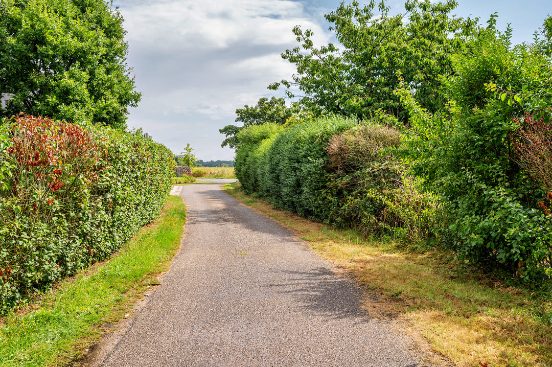 Foto 41 van Maasstraat 27