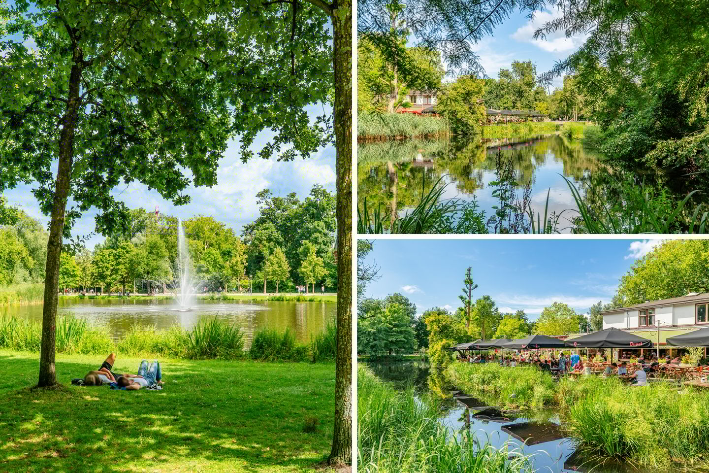 Foto 50 van Wilhelminastraat 106-3