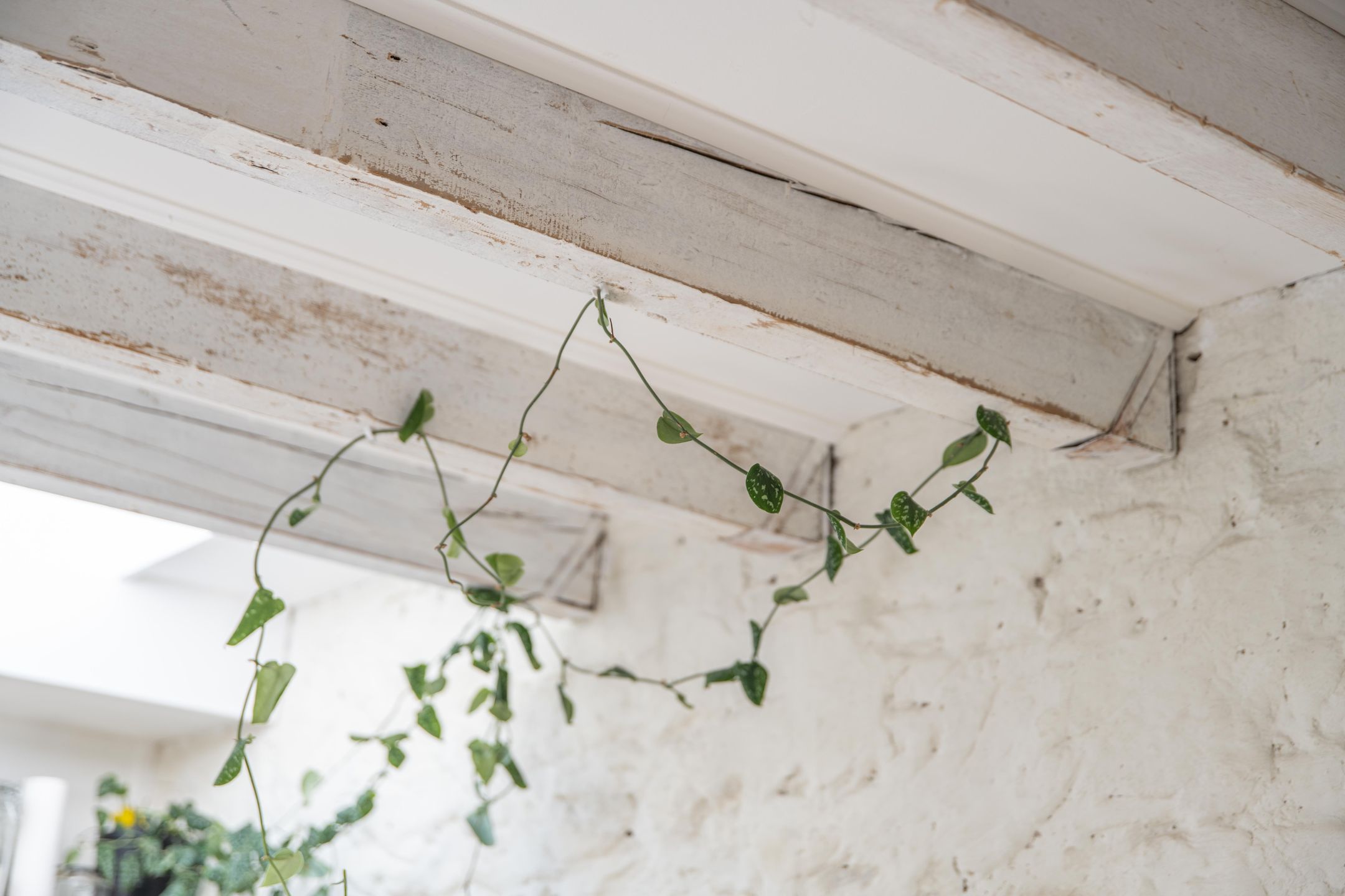 Foto 27 van Jodenstraatje 2