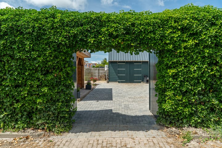 Foto 43 van Memerdastate 17