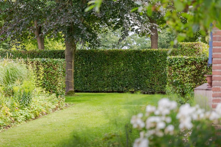 Foto 36 van Bergweg 2