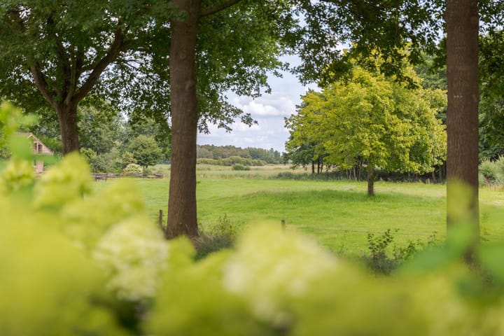 Foto 51 van Bergweg 2