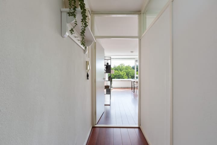 Foto 6 van Livingstonelaan 840