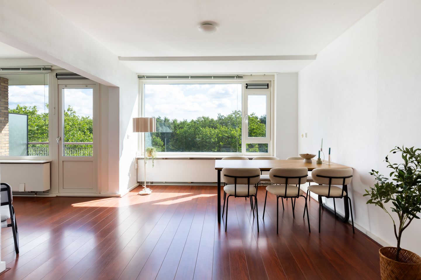 Foto 10 van Livingstonelaan 840