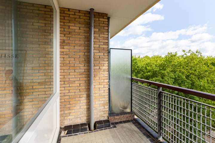 Foto 28 van Livingstonelaan 840