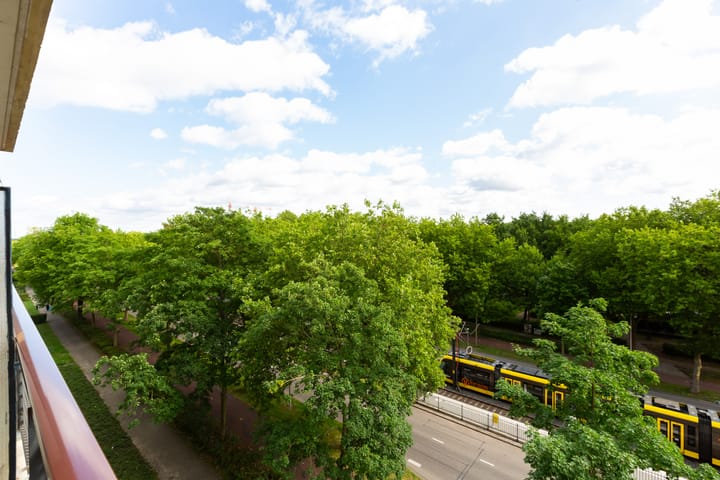 Foto 30 van Livingstonelaan 840