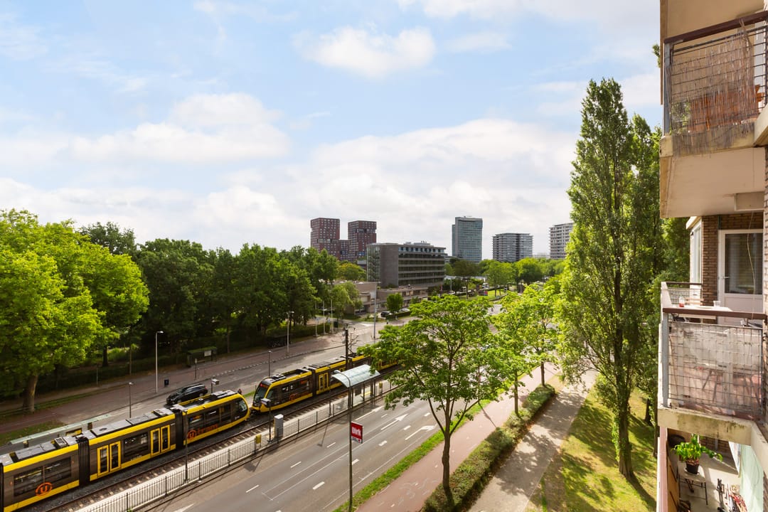 Foto 31 van Livingstonelaan 840