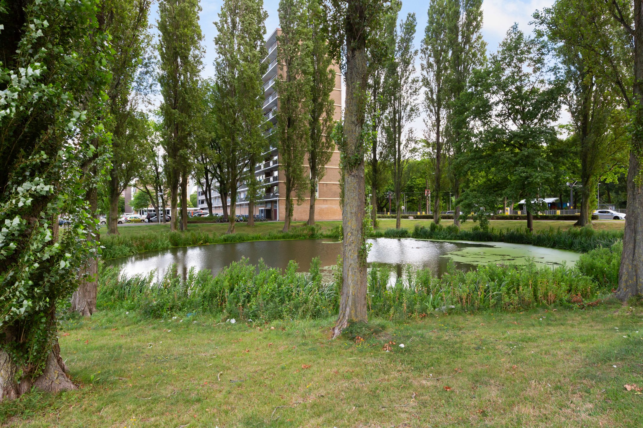 Foto 33 van Livingstonelaan 840