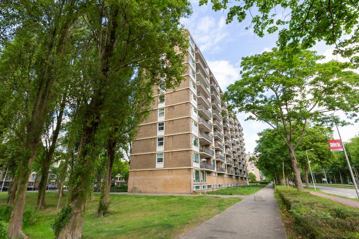 Foto 35 van Livingstonelaan 840