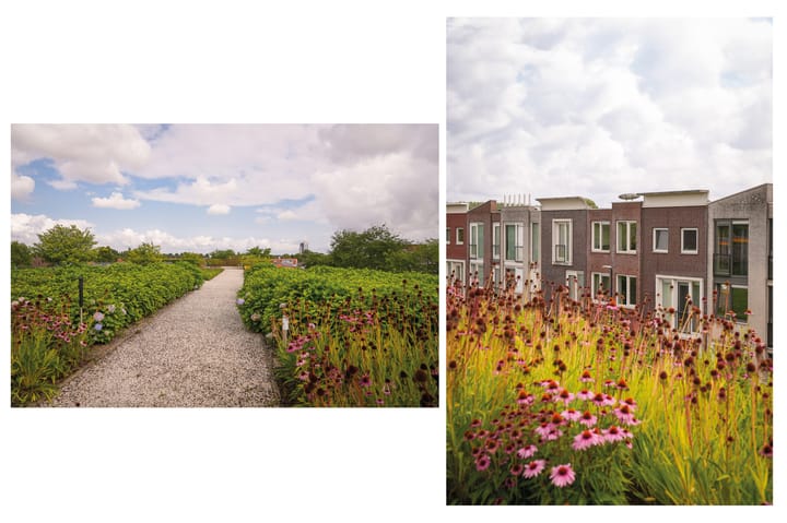 Foto 8 van Schullenhofstraat 70