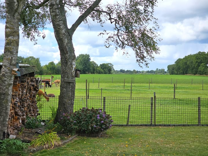 Foto 26 van Steggerdaweg 147