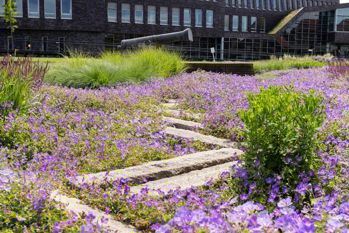 Foto 48 van Weeshuisstraat