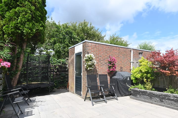 Foto 3 van Kasselbruin 41