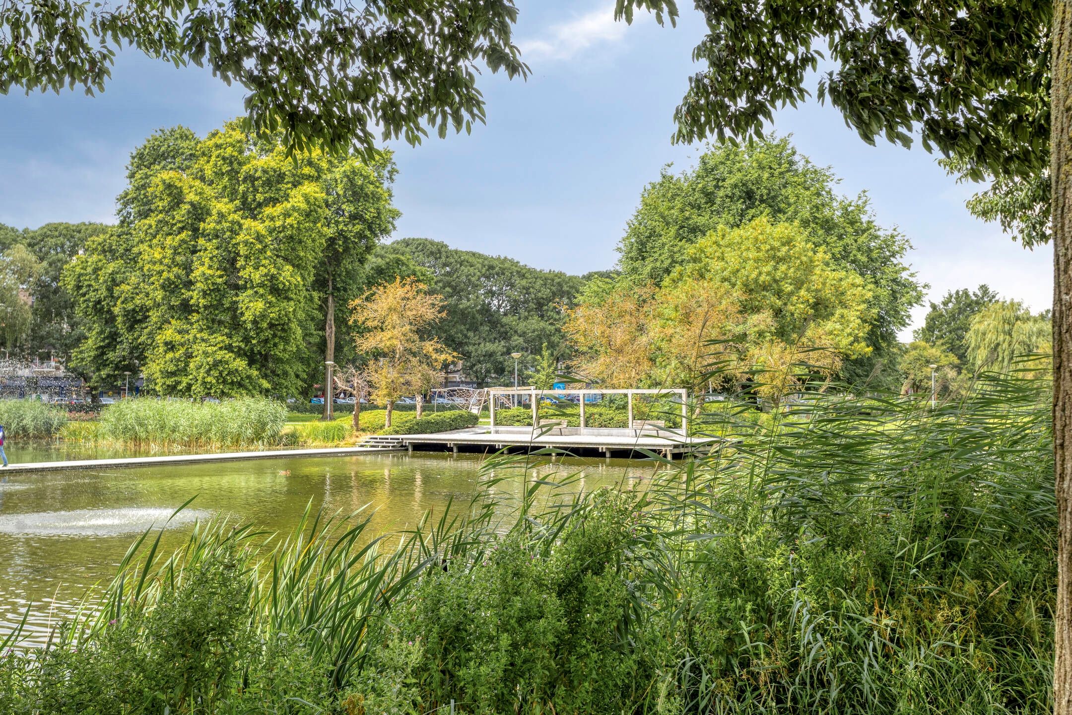 Foto 36 van Vondellaan 310