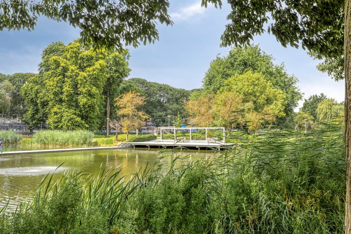 Foto 36 van Vondellaan 310