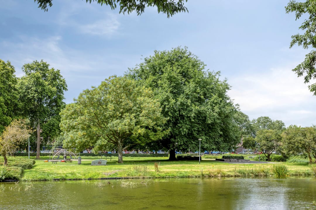 Foto 37 van Vondellaan 310