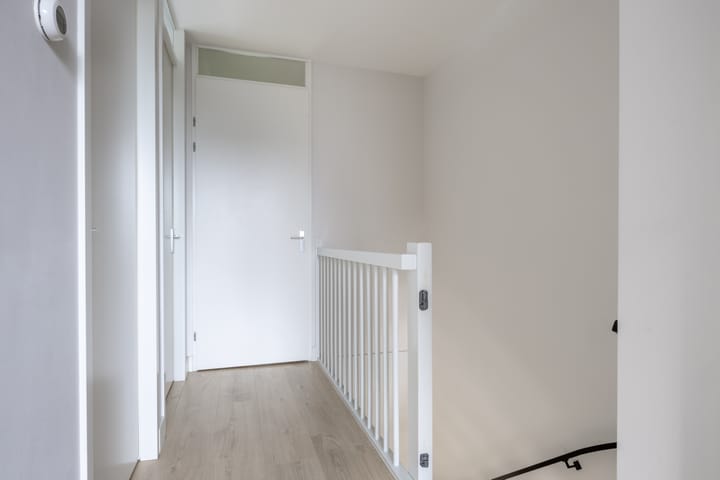 Foto 10 van Veldesdoorn 11