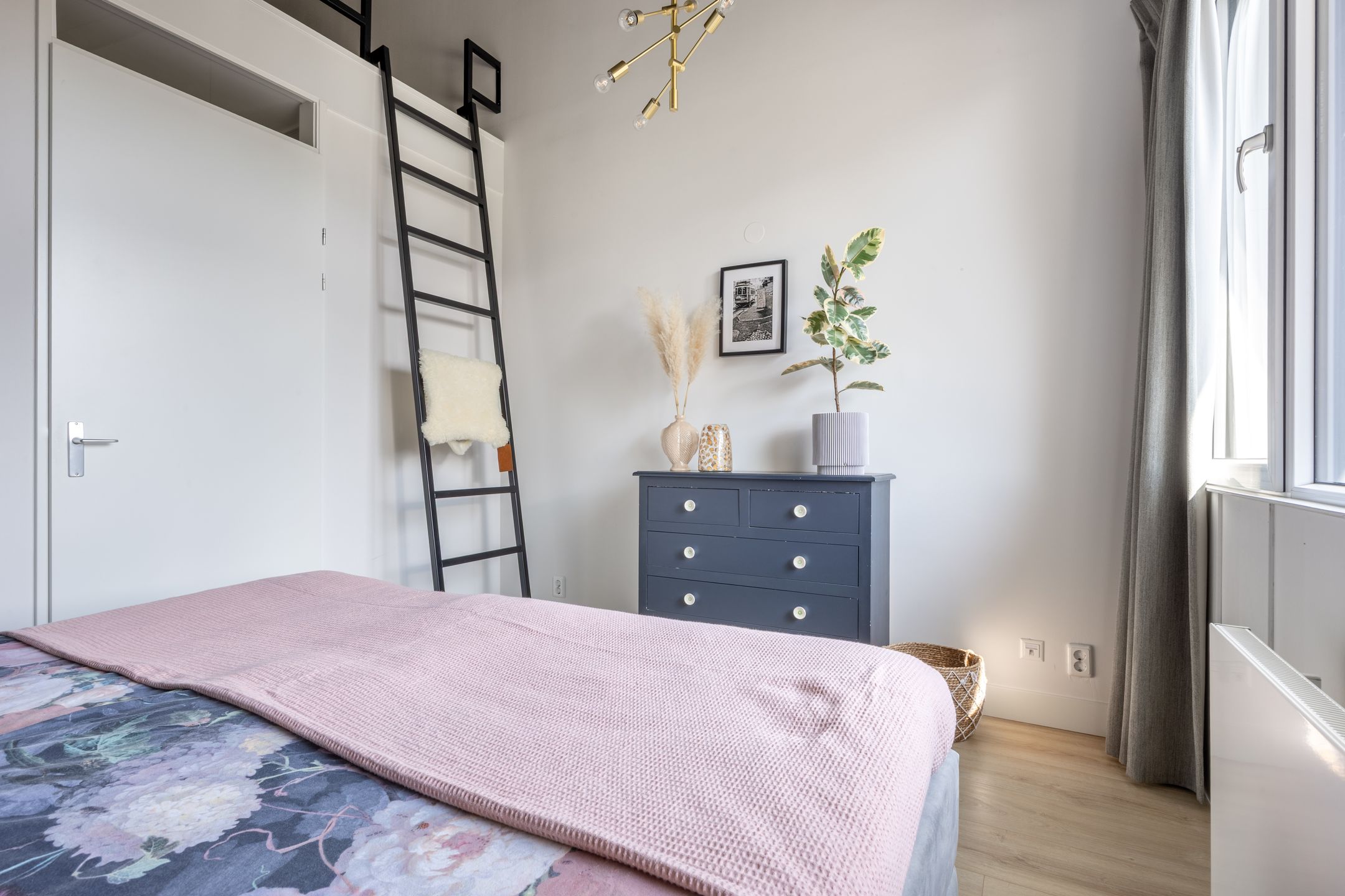 Foto 12 van Veldesdoorn 11