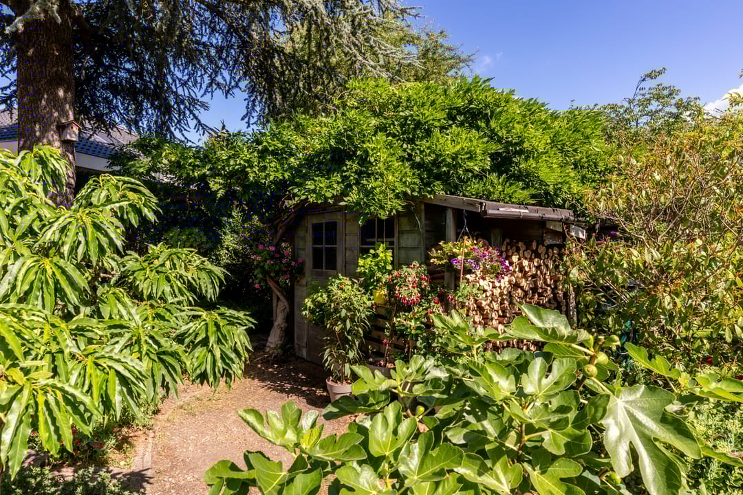 Photo 43 of C. Barendregtlaan 13