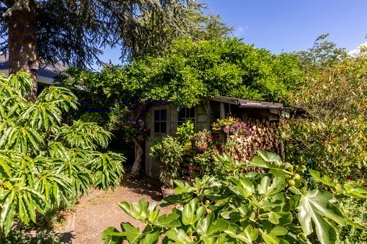 Foto 43 van C. Barendregtlaan 13