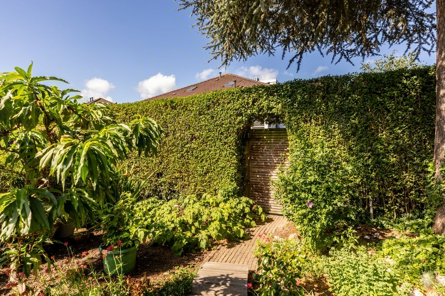 Photo 44 of C. Barendregtlaan 13