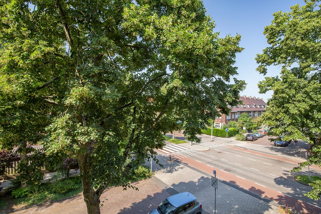 Foto 7 van Burggravenlaan 164