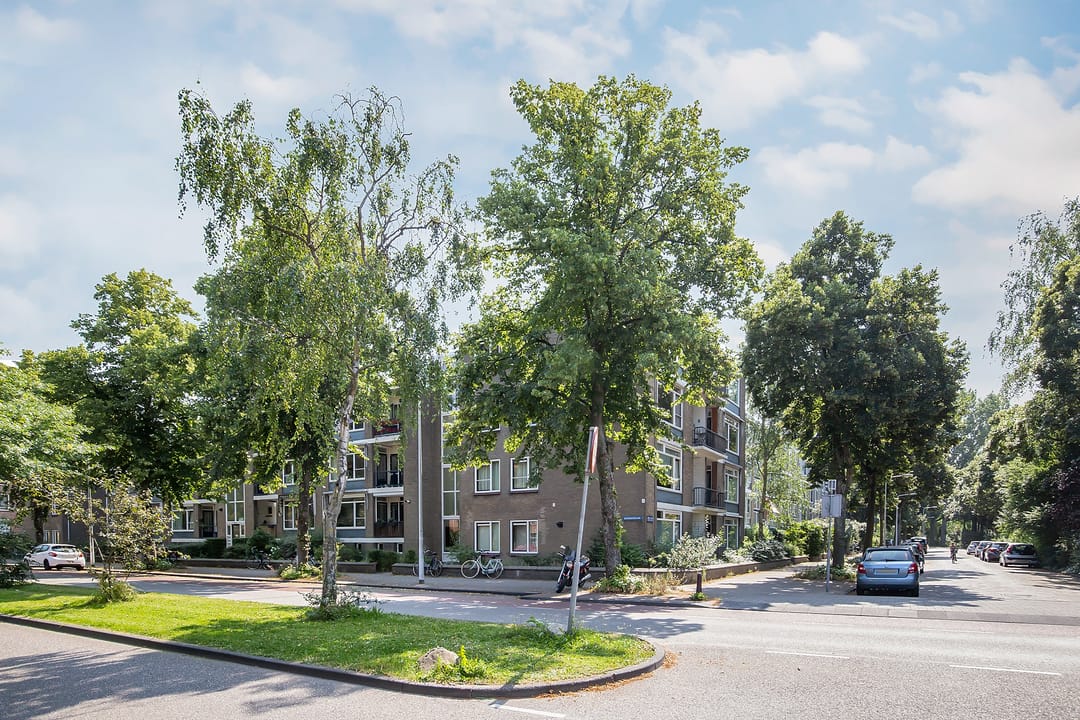 Foto 16 van Burggravenlaan 164