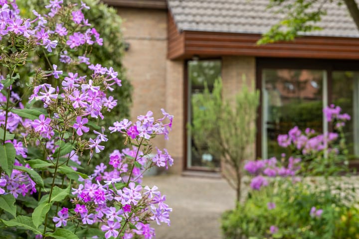 Foto 35 van Frederikstraat 24