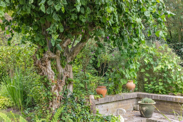 Foto 36 van Frederikstraat 24