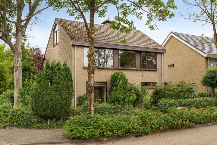 Foto 42 van Frederikstraat 24