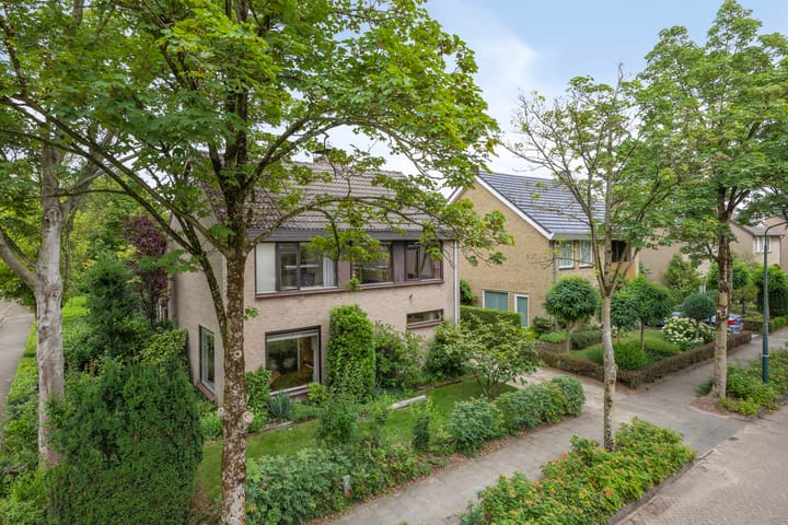 Foto 43 van Frederikstraat 24