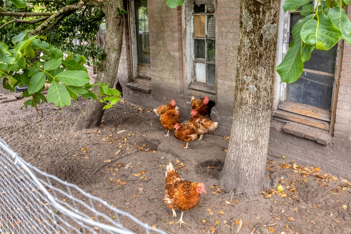 Foto 63 van Udenseweg 7-A