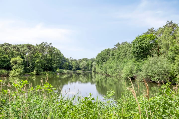 Foto 79 van Udenseweg 7-A