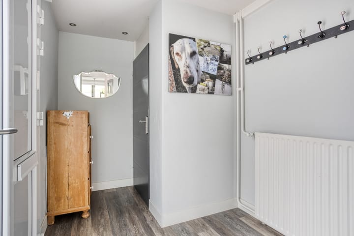 Foto 4 van Zeggegors 50