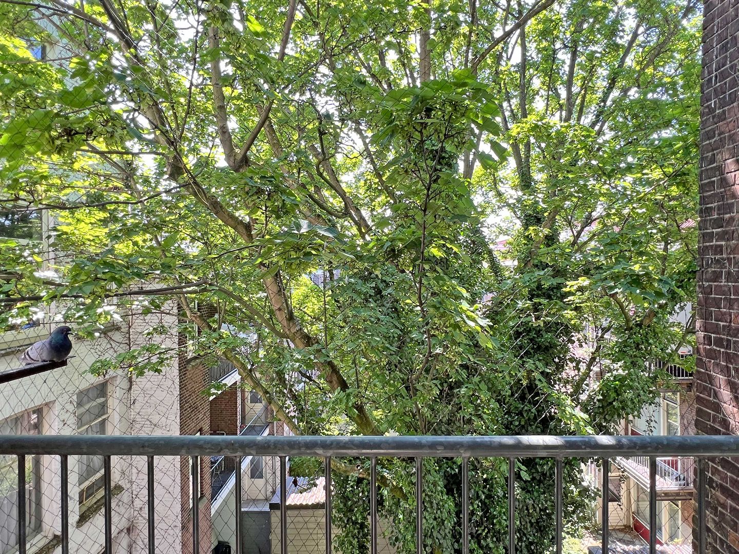 Photo 19 of Schiedamseweg 28-B02