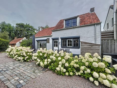 undefined main image