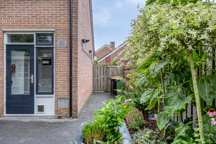 Foto 31 van Rietvink 30