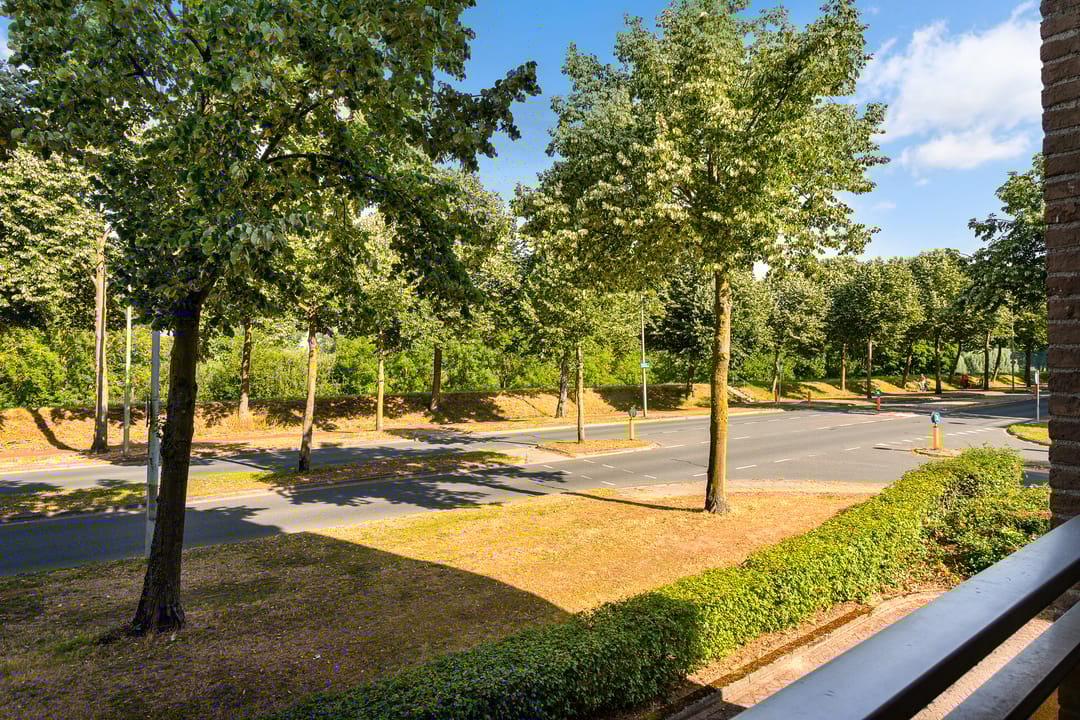 Photo 17 of De Roskam 119