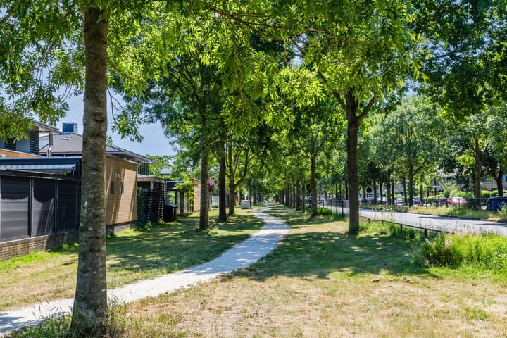 Foto 36 van Meistraat 54